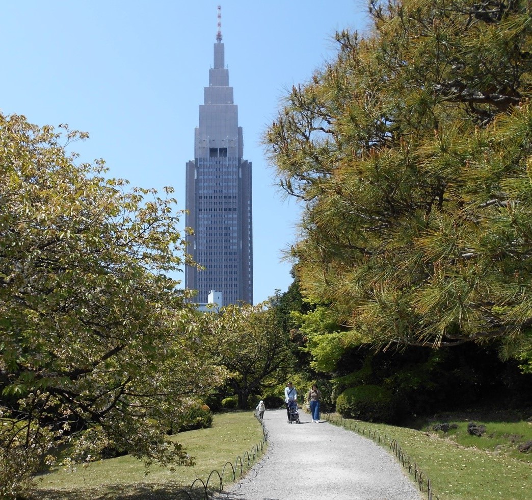 Gyoen Flower Garden, Shinjuku