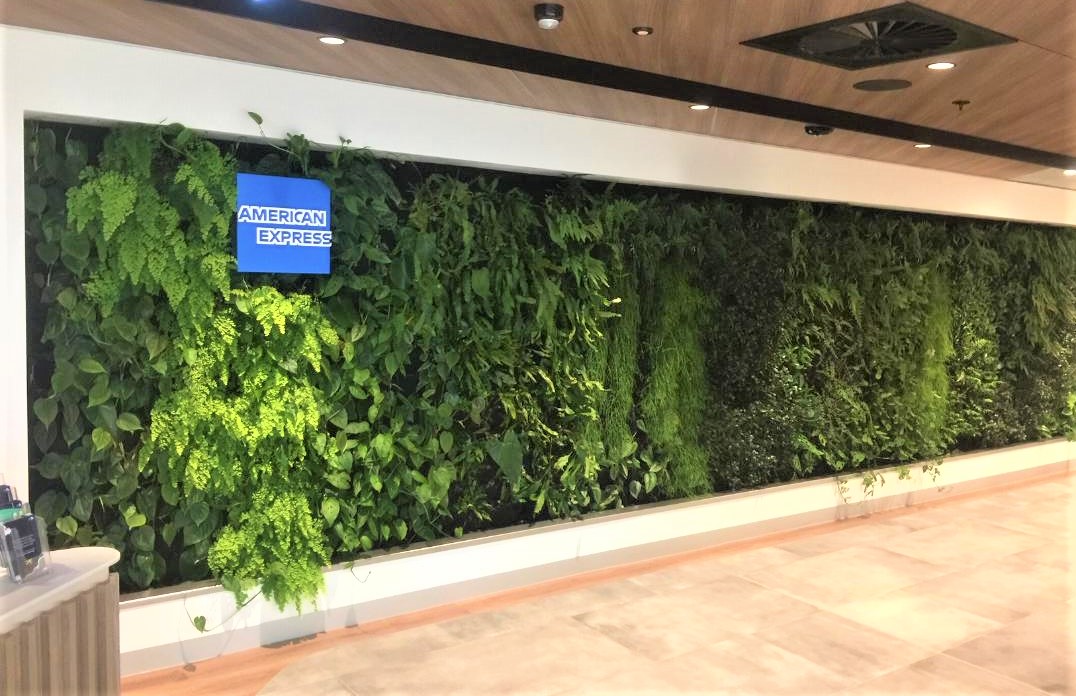 Green Living Wall at The American Express Lounge, Sydney Int'l Airport