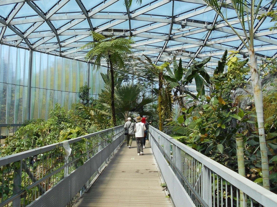 Greenhouse, Gyoen Flower Garden, Shinjuku