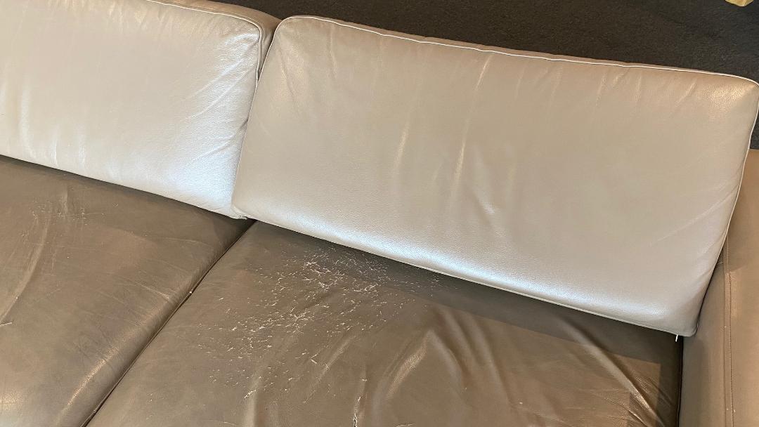 Sofa - Rex Lounge, Sydney Airport