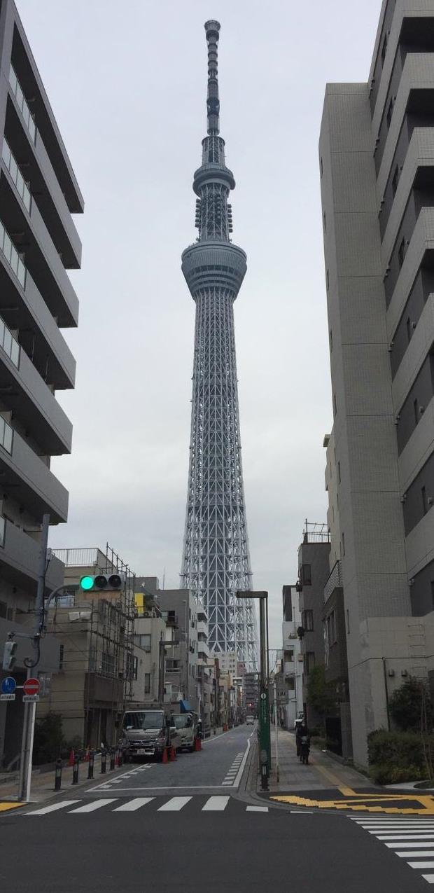 SkyTree